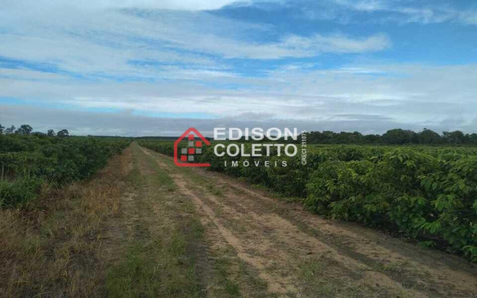 Imagem Fazenda à Venda, 6.000.000 m² em Centro - Itamaraju