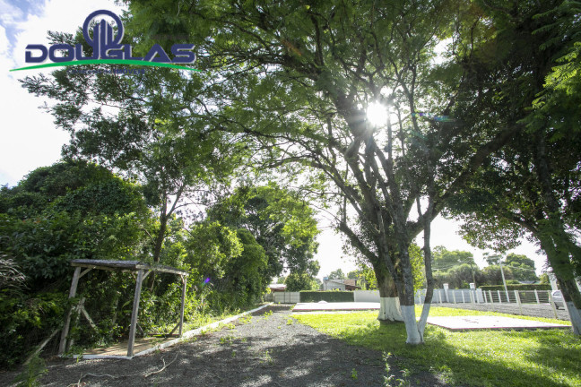 Imagem Casa com 2 Quartos à Venda, 2.000 m² em Viamão Imagem Casa com 2 Quartos à Venda, 2.000 m² em Viamão