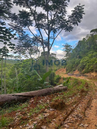 Imagem Chácara à Venda, 92.575 m² em Três Rios Do Norte - Jaraguá Do Sul