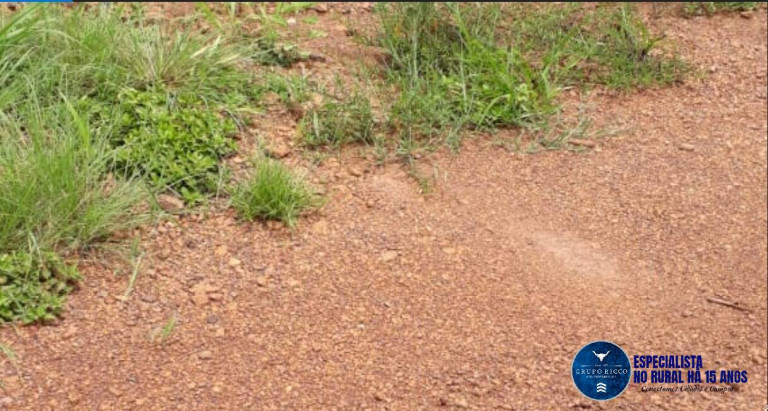 Imagem Fazenda à Venda, 209 m² em Zona Rural - Doverlândia Imagem Fazenda à Venda, 209 m² em Zona Rural - Doverlândia