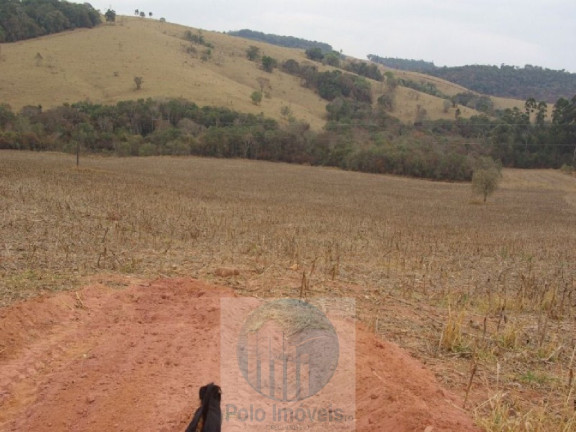 Imagem Imóvel à Venda, 96.800 m² em Zona Rural - Jacui