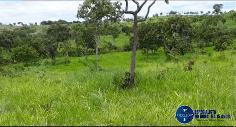 Imagem Fazenda à Venda, 209 m² em Zona Rural - Doverlândia Imagem Fazenda à Venda, 209 m² em Zona Rural - Doverlândia