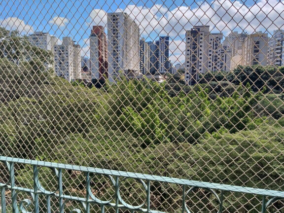 Imagem Apartamento com 2 Quartos à Venda, 67 m² em Vila Monte Alegre - São Paulo Imagem Apartamento com 2 Quartos à Venda, 67 m² em Vila Monte Alegre - São Paulo