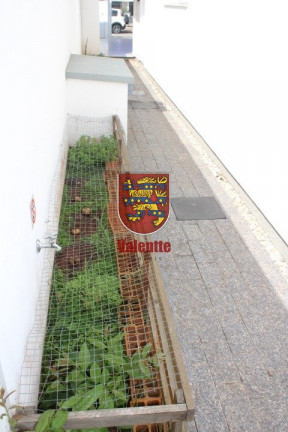 Imagem Casa com 3 Quartos à Venda, 348 m² em Ribeirão Da Ilha - Florianópolis Imagem Casa com 3 Quartos à Venda, 348 m² em Ribeirão Da Ilha - Florianópolis