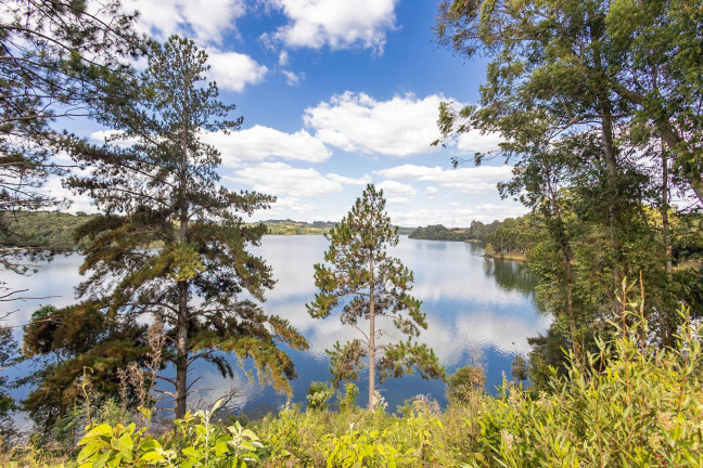 Imagem Imóvel com 3 Quartos à Venda, 31.671 m² em Ferraria / Bolinete - Campo Largo