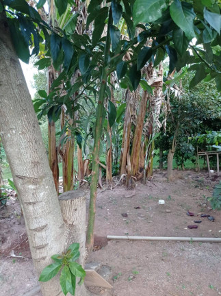 Imagem Casa com 3 Quartos à Venda, 1.020 m² em Jardim Centenário - Atibaia Imagem Casa com 3 Quartos à Venda, 1.020 m² em Jardim Centenário - Atibaia