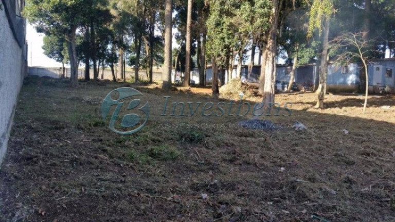 Imagem Terreno à Venda, 3.000 m² em Pinheirinho - Curitiba