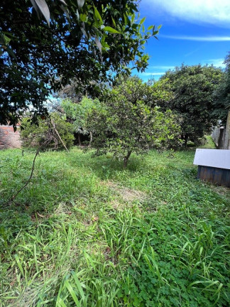 Imagem Terreno à Venda, 480 m² em Passo Dos Fortes - Chapecó Imagem Terreno à Venda, 480 m² em Passo Dos Fortes - Chapecó