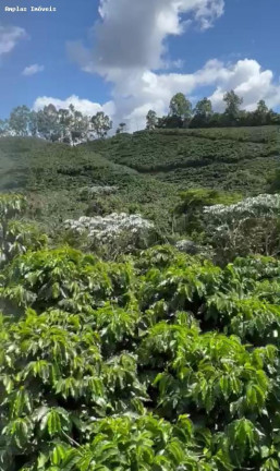 Imagem Fazenda à Venda, 11 m² em Manhumirim