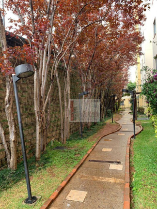 Imagem Apartamento com 2 Quartos à Venda, 49 m² em Morumbi - São Paulo Imagem Apartamento com 2 Quartos à Venda, 49 m² em Morumbi - São Paulo