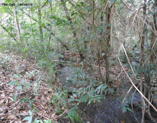 Imagem Fazenda à Venda, 164 m² em Monjolos área Rural - Monjolos
