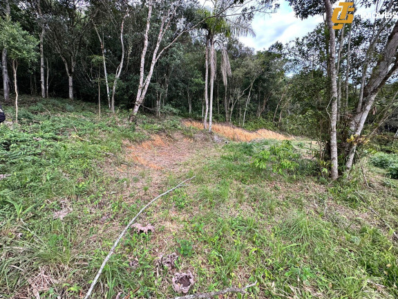 Imagem Terreno à Venda, 1.950 m² em Rio Do Meio - Camboriú Imagem Terreno à Venda, 1.950 m² em Rio Do Meio - Camboriú