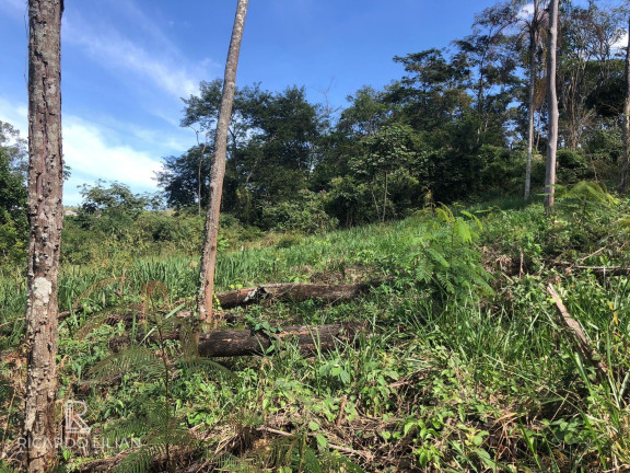 Imagem Terreno à Venda, 378 m² em Centro - Bom Jesus Dos Perdões