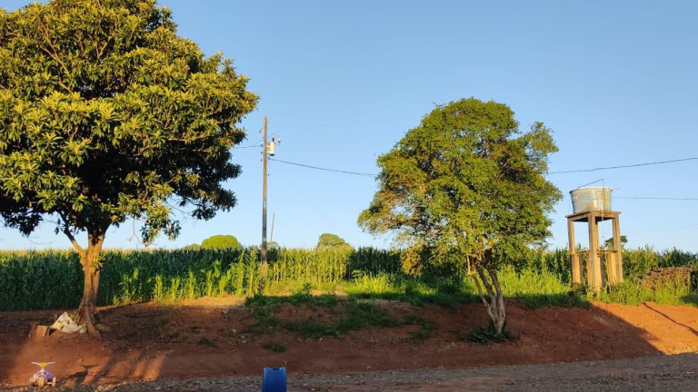 Imagem Imóvel com 2 Quartos à Venda, 96.800 m² em Rural - Japira Imagem Imóvel com 2 Quartos à Venda, 96.800 m² em Rural - Japira