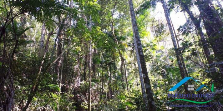 Imagem Chácara à Venda, 155 m² em Centro - Paraisópolis Imagem Chácara à Venda, 155 m² em Centro - Paraisópolis