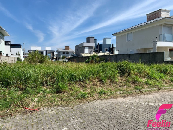 Imagem Terreno à Venda, 450 m² em Ribeirão Da Ilha - Florianópolis Imagem Terreno à Venda, 450 m² em Ribeirão Da Ilha - Florianópolis