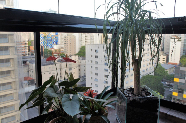 Imagem Apartamento com 3 Quartos à Venda, 396 m² em Pinheiros - São Paulo