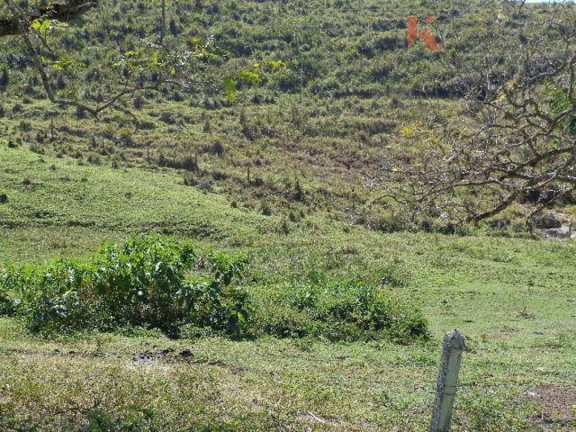 Imagem Fazenda à Venda, 100 m² em Jd Costão Do Paraíba - Santa Branca