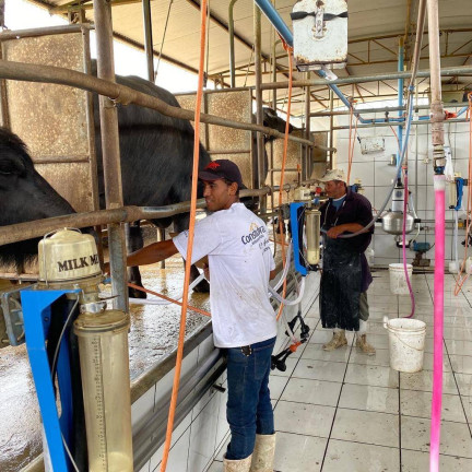 Imagem Chácara à Venda, 123 m² em Tijuco Preto - Santana Do Itararé Imagem Chácara à Venda, 123 m² em Tijuco Preto - Santana Do Itararé