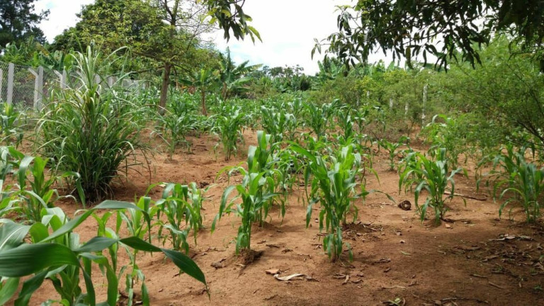 Imagem Imóvel à Venda, 1.400 m² em Boa Vista Dos Silva - Bragança Paulista Imagem Imóvel à Venda, 1.400 m² em Boa Vista Dos Silva - Bragança Paulista