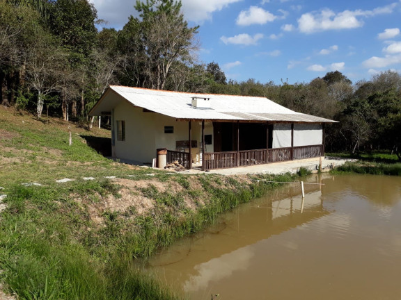 Imagem Chácara com 3 Quartos à Venda, 3.000 m² em Bugre - Balsa Nova