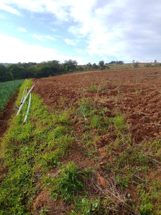 Imagem Chácara à Venda, 133 m² em Bairro Dos Leites - Piedade Imagem Chácara à Venda, 133 m² em Bairro Dos Leites - Piedade