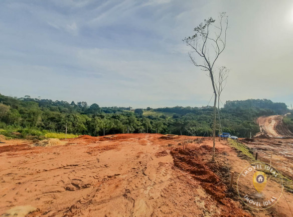 Imagem Terreno à Venda, 200 m² em Querência - Viamão