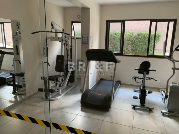 Imagem Apartamento com 3 Quartos à Venda, 123 m² em Vila Mascote - São Paulo Imagem Apartamento com 3 Quartos à Venda, 123 m² em Vila Mascote - São Paulo