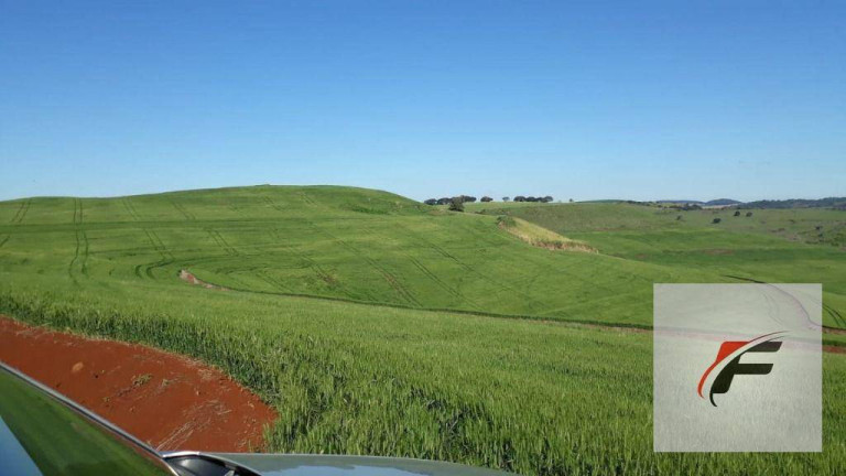 Imagem Fazenda à Venda, 2.988.700 m² em Rural - Faxinal Imagem Fazenda à Venda, 2.988.700 m² em Rural - Faxinal
