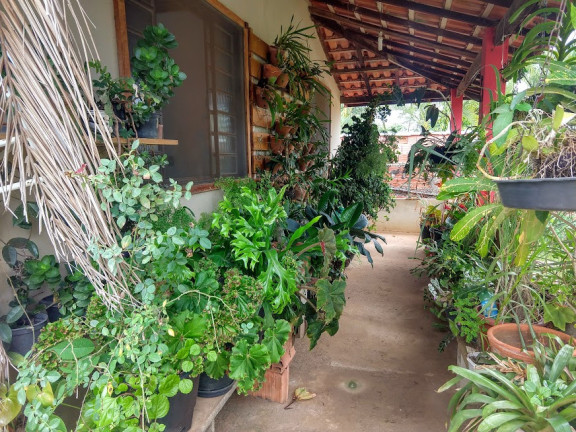 Imagem Casa com 2 Quartos à Venda, 1.000 m² em Jardim Gramado - Tatuí Imagem Casa com 2 Quartos à Venda, 1.000 m² em Jardim Gramado - Tatuí