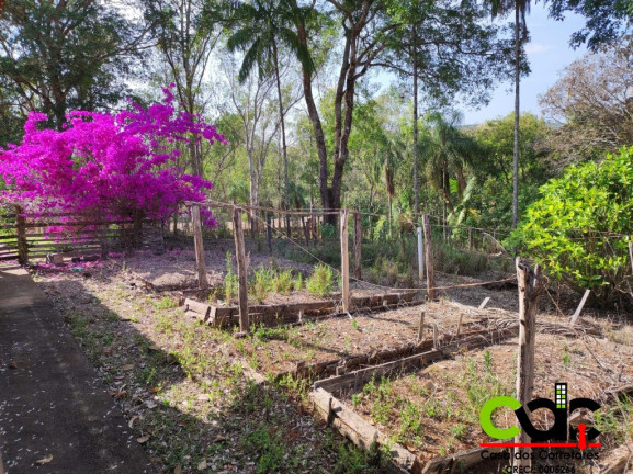Imagem Imóvel com 4 Quartos à Venda, 4 m² em Centro - São Gonçalo De Botelhos Imagem Imóvel com 4 Quartos à Venda, 4 m² em Centro - São Gonçalo De Botelhos