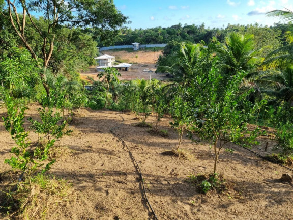 Imagem Imóvel à Venda, 12.000 m² em Zona Rural - Camaçari