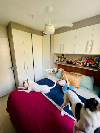Imagem Apartamento com 2 Quartos à Venda, 41 m² em Cambuci - São Paulo Imagem Apartamento com 2 Quartos à Venda, 41 m² em Cambuci - São Paulo