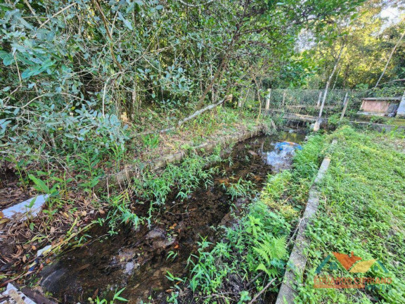 Imagem Terreno à Venda, 270 m² em Massaguaçu - Caraguatatuba