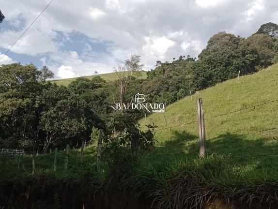 Imagem Fazenda à Venda, 133.100 m² em Centro - Itapeva Imagem Fazenda à Venda, 133.100 m² em Centro - Itapeva