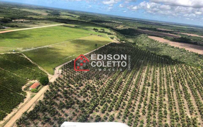 Imagem Fazenda à Venda, 6.000.000 m² em Centro - Itamaraju