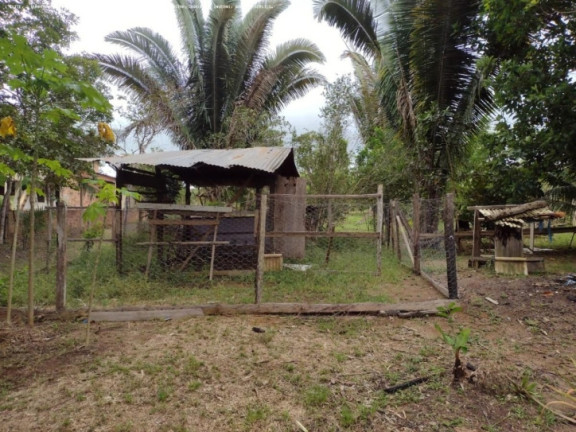 Imagem Chácara à Venda, 5.000 m² em Areia Branca - Porto Velho Imagem Chácara à Venda, 5.000 m² em Areia Branca - Porto Velho
