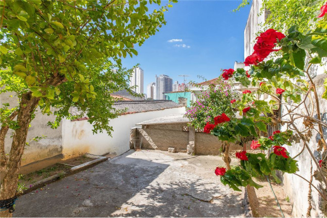 Imagem Casa com 3 Quartos à Venda,  em Vila Ipojuca - São Paulo
