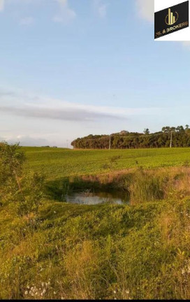 Imagem Imóvel com 4 Quartos à Venda, 30.250 m² em área Rural Lapa - Lapa Imagem Imóvel com 4 Quartos à Venda, 30.250 m² em área Rural Lapa - Lapa
