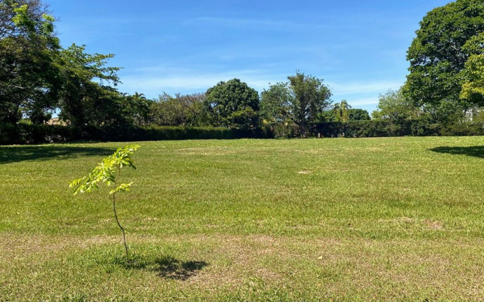 Imagem Terreno à Venda, 6.000 m² em Fazenda Vila Real De Itu - Itu Imagem Terreno à Venda, 6.000 m² em Fazenda Vila Real De Itu - Itu
