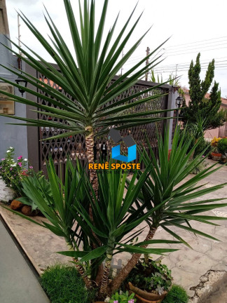 Imagem Casa com 3 Quartos à Venda, 307 m² em Jardim Botânico - São Pedro Imagem Casa com 3 Quartos à Venda, 307 m² em Jardim Botânico - São Pedro