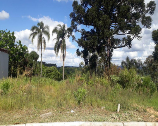 Imagem Imóvel à Venda, 391 m² em Pinhal Alto - Nova Petrópolis Imagem Imóvel à Venda, 391 m² em Pinhal Alto - Nova Petrópolis