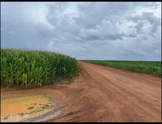 Imagem Terreno à Venda, 200 m² em Sorriso Imagem Terreno à Venda, 200 m² em Sorriso