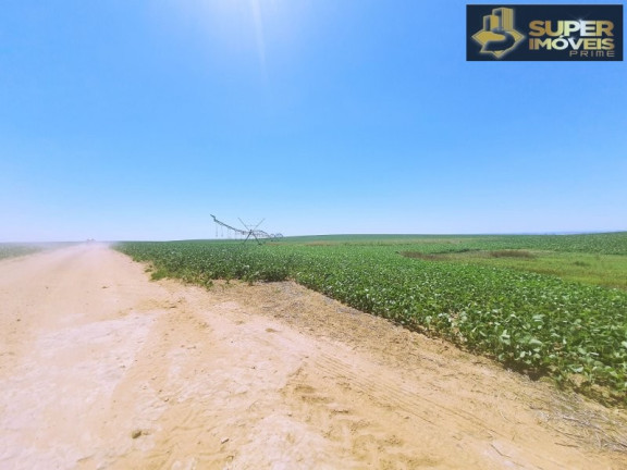 Imagem Imóvel com 3 Quartos à Venda, 21.000.000 m² em área Rural De Cachoeira Do Sul - Cachoeira Do Sul