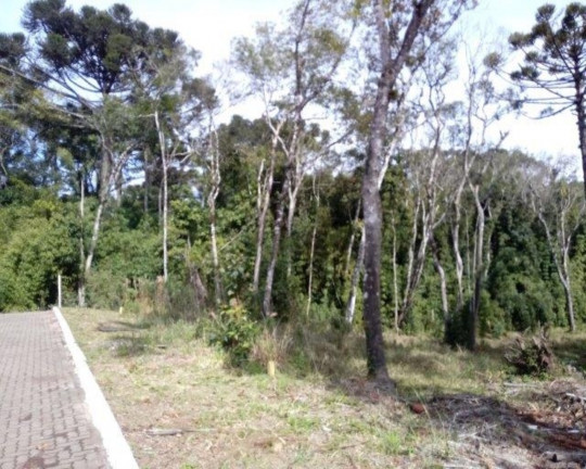 Imagem Imóvel à Venda, 821 m² em Vila Germânia - Nova Petrópolis Imagem Imóvel à Venda, 821 m² em Vila Germânia - Nova Petrópolis