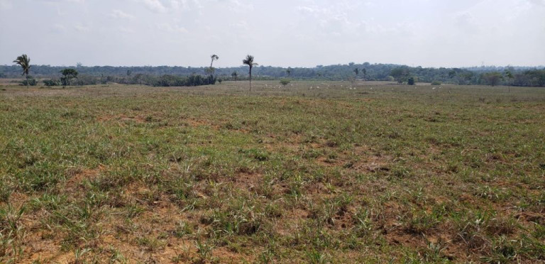 Imagem Imóvel com 5 Quartos à Venda, 4.017.000 m² em Zona Rural Imagem Imóvel com 5 Quartos à Venda, 4.017.000 m² em Zona Rural