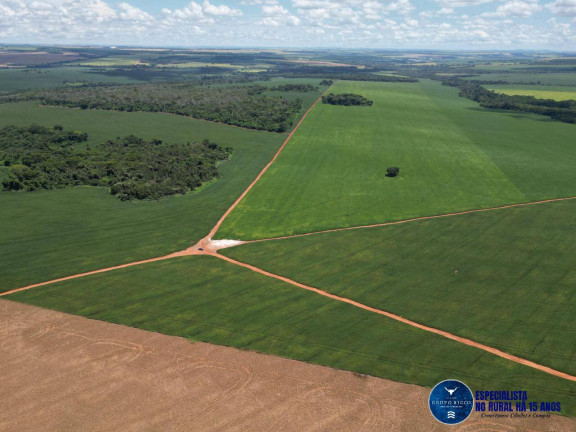 Imagem Fazenda à Venda, 174 m² em Zona Rural - Rio Verde Imagem Fazenda à Venda, 174 m² em Zona Rural - Rio Verde