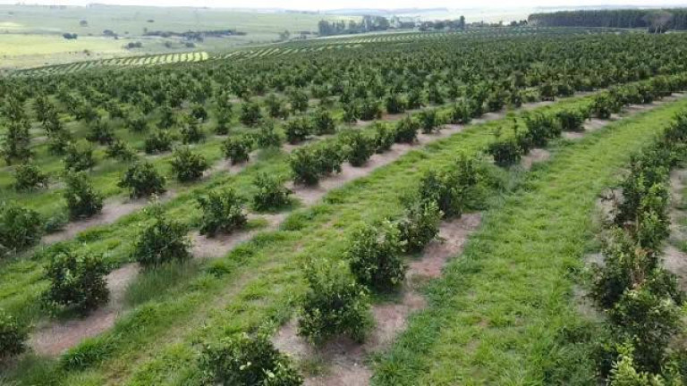 Imagem Fazenda à Venda, 121 m² em Rio Pardo - águas De Santa Bárbara Imagem Fazenda à Venda, 121 m² em Rio Pardo - águas De Santa Bárbara