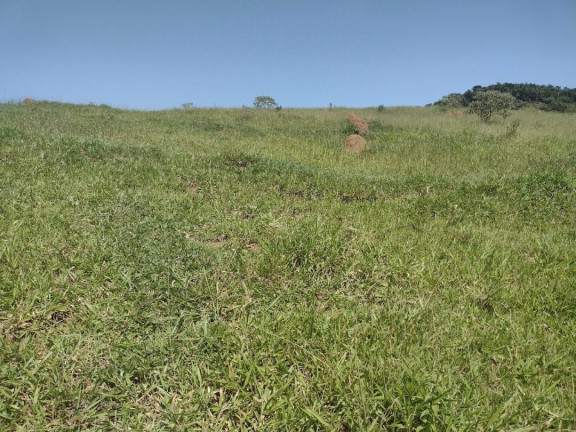 Imagem Fazenda à Venda, 100 m² em Canas - Canas Imagem Fazenda à Venda, 100 m² em Canas - Canas