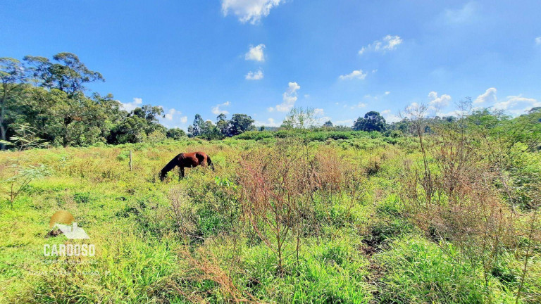 Imagem Fazenda à Venda, 23.000 m² em águas Claras - Viamão Imagem Fazenda à Venda, 23.000 m² em águas Claras - Viamão